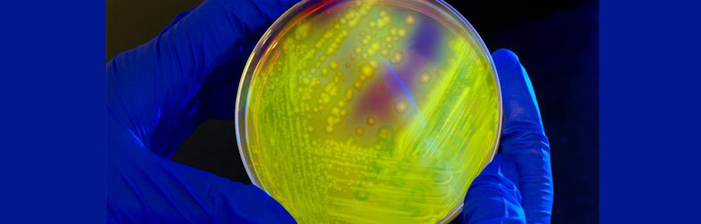 Este semestre Chile tendría Plan Nacional para combatir resistencia bacteriana