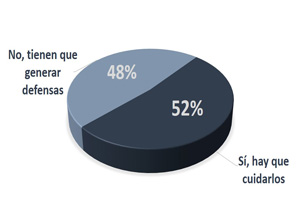 ¿Protección o sobreprotección?