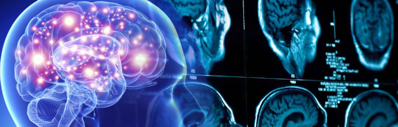 Expertos en neurología dieron a conocer últimos avances en sistema nervioso
