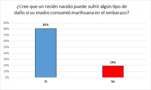 ¿Cree que un recién nacido puede sufrir algún tipo de daño si su madre consumió marihuana en el embarazo?