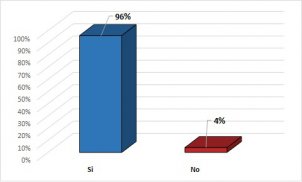 ¿Cree que se debiera reformar el sistema de licencias médicas?