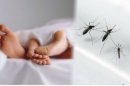 Impacto del virus Zika en la salud sexual y reproductiva