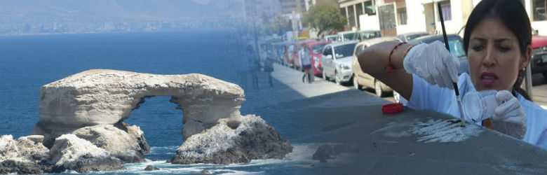 Colegio Médico emplazó a autoridades sanitarias a “poner fin a la contaminación en Antofagasta”