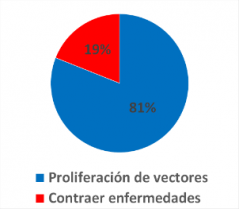 ¿Cuál es el principal problema de la acumulación de basura?