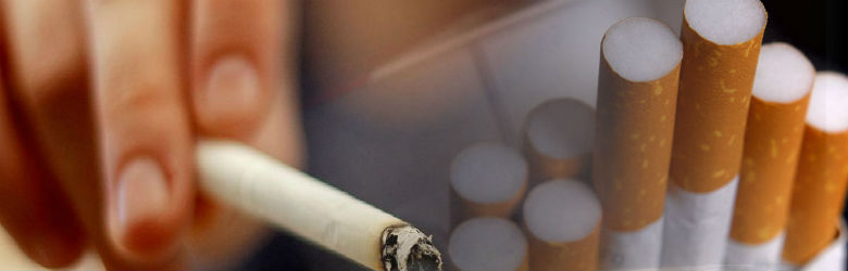 Comisión de Salud de la Cámara comenzará en marzo discusión de proyecto de ley de tabaco en Chile