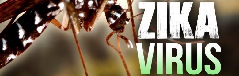 Atención viajeros: Brote de virus Zika continúa a un año de la emergencia mundial