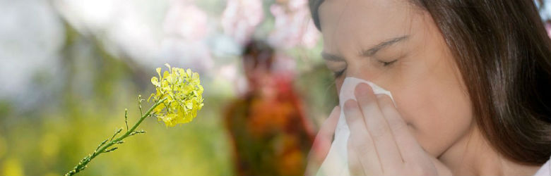 15 consejos para prepararse para las alergias primaverales