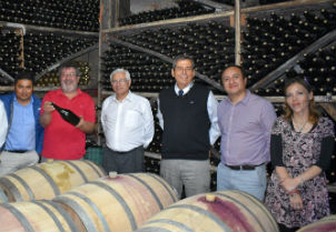 Grupo de investigadores de USS Concepción potenciará calidad de vinos regionales