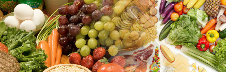 Experta FAO señala que 95% de la población chilena no come según las guías alimentarias