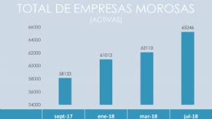 Total empresas morosas (activas)