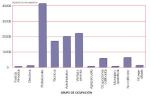 Nacimientos, por grupo de ocupación de la madre activa, 2016