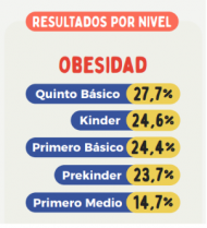 Mapa Nutricional 2018: Obesidad por nivel escolar