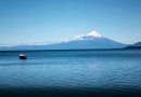 Detectan parásitos en peces silvestres del Lago Llanquihue