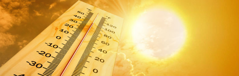 OPS alerta por ola de calor en 2020 que podría tener consecuencias mortales