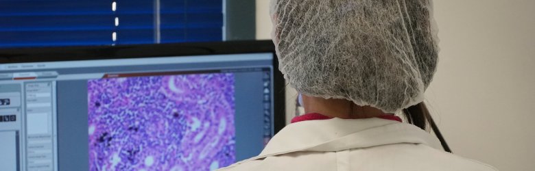 U. San Sebastián se convierte en centro de análisis de muestras de coronavirus