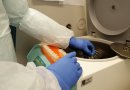 Salud autoriza examen PCR sin prescripción médica
