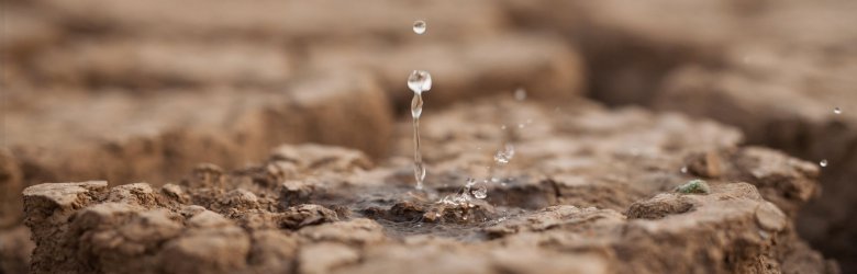 Solución nanotecnológica logra que suelos retengan agua y nutrientes