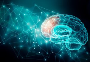 Cómo la neurociencia computacional ayuda a descifrar el funcionamiento del cerebro