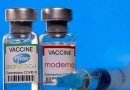 ISP aprueba el uso de vacunas bivalente de los laboratorios Pfizer y Moderna