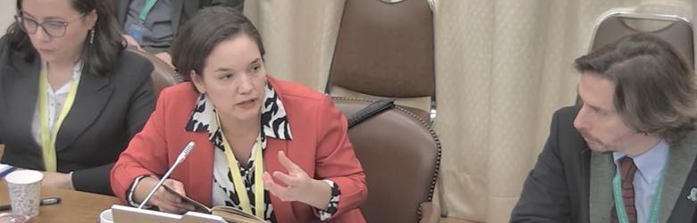 Reformas en salud ¿cuáles son las propuestas para potenciar el rol de la Superintendencia de Salud?